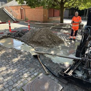 Kursus i banekrydsninger